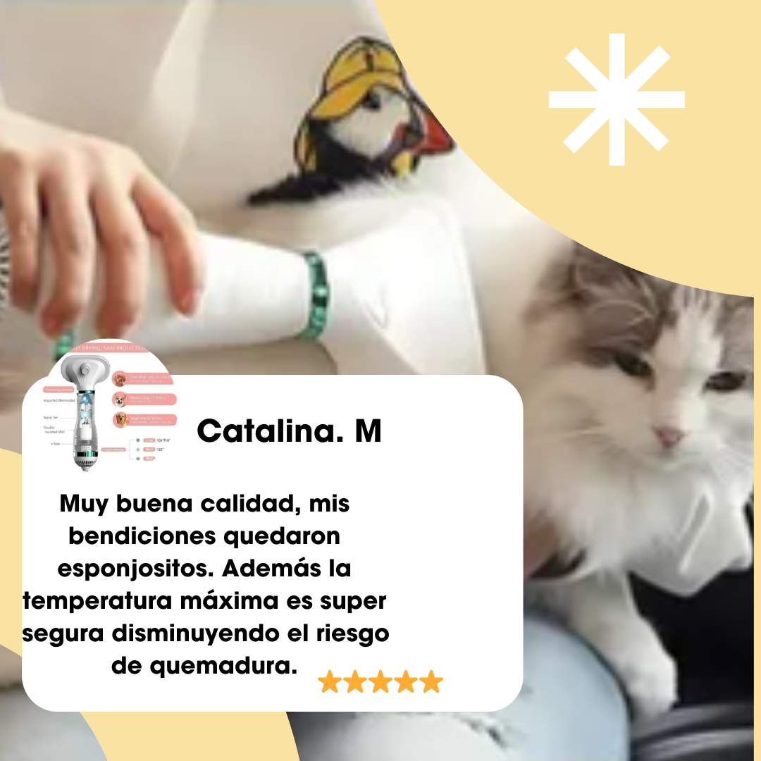 Secador Para Mascotas 2 En 1