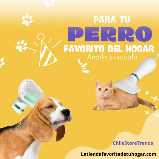 Secador Para Mascotas 2 En 1